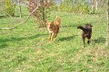 Afb_20170407w (9)